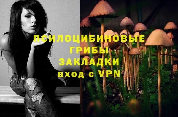 МДПВ Алексин