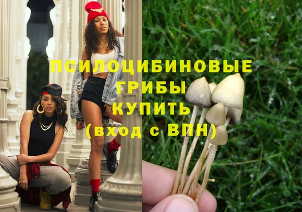 МДПВ Алексин