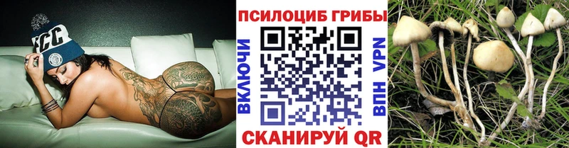 мега зеркало  Билибино  Псилоцибиновые грибы прущие грибы 